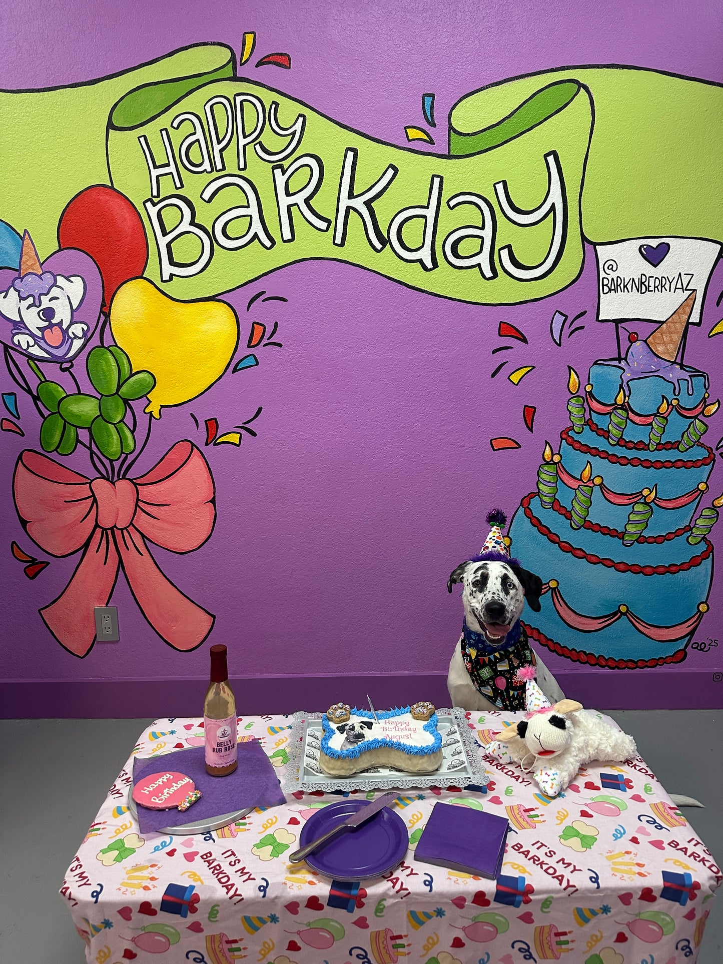 BDAY PAWTY PACKAGE 2