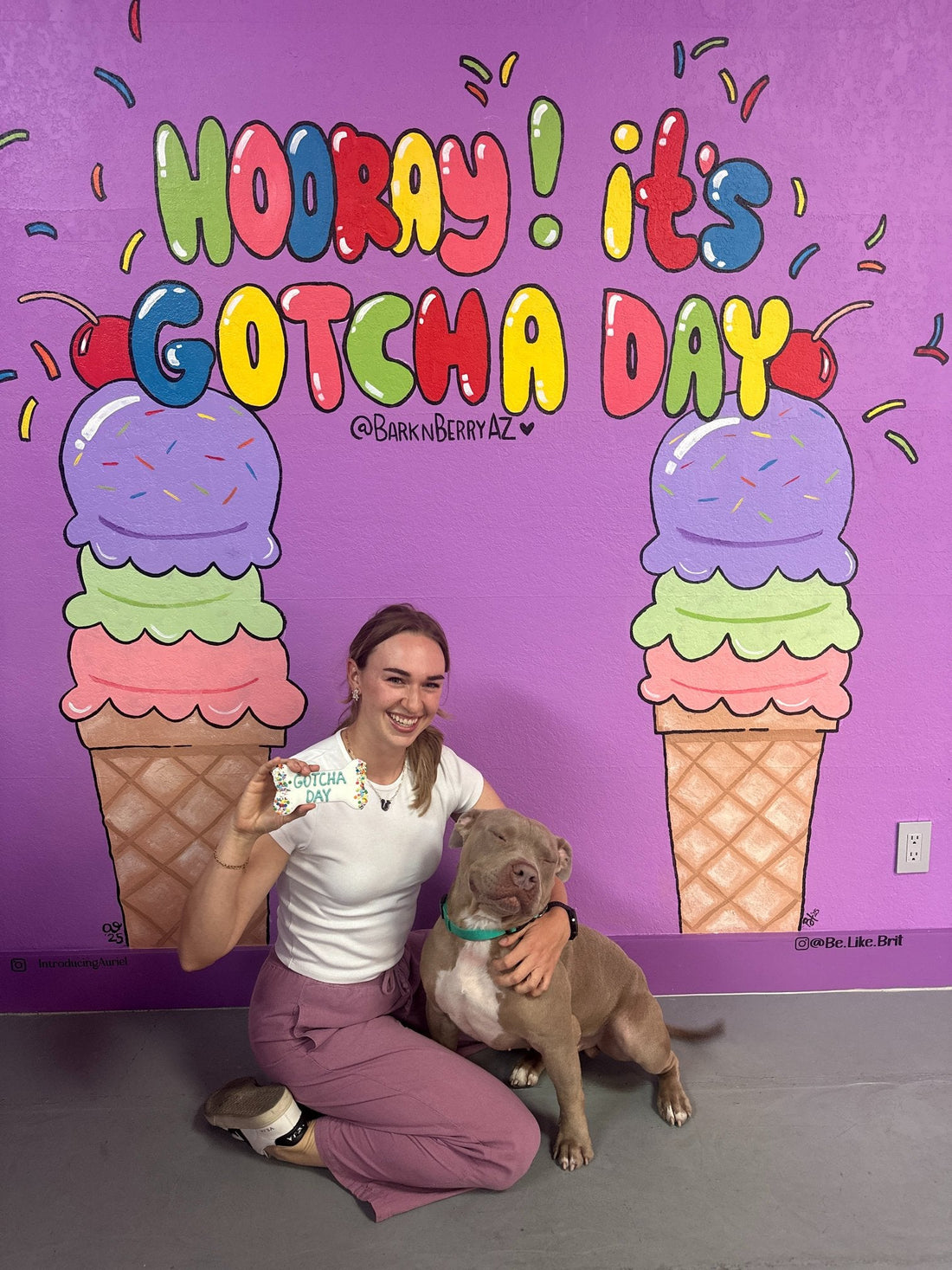 Dog Day Event – A Day for the Dogs