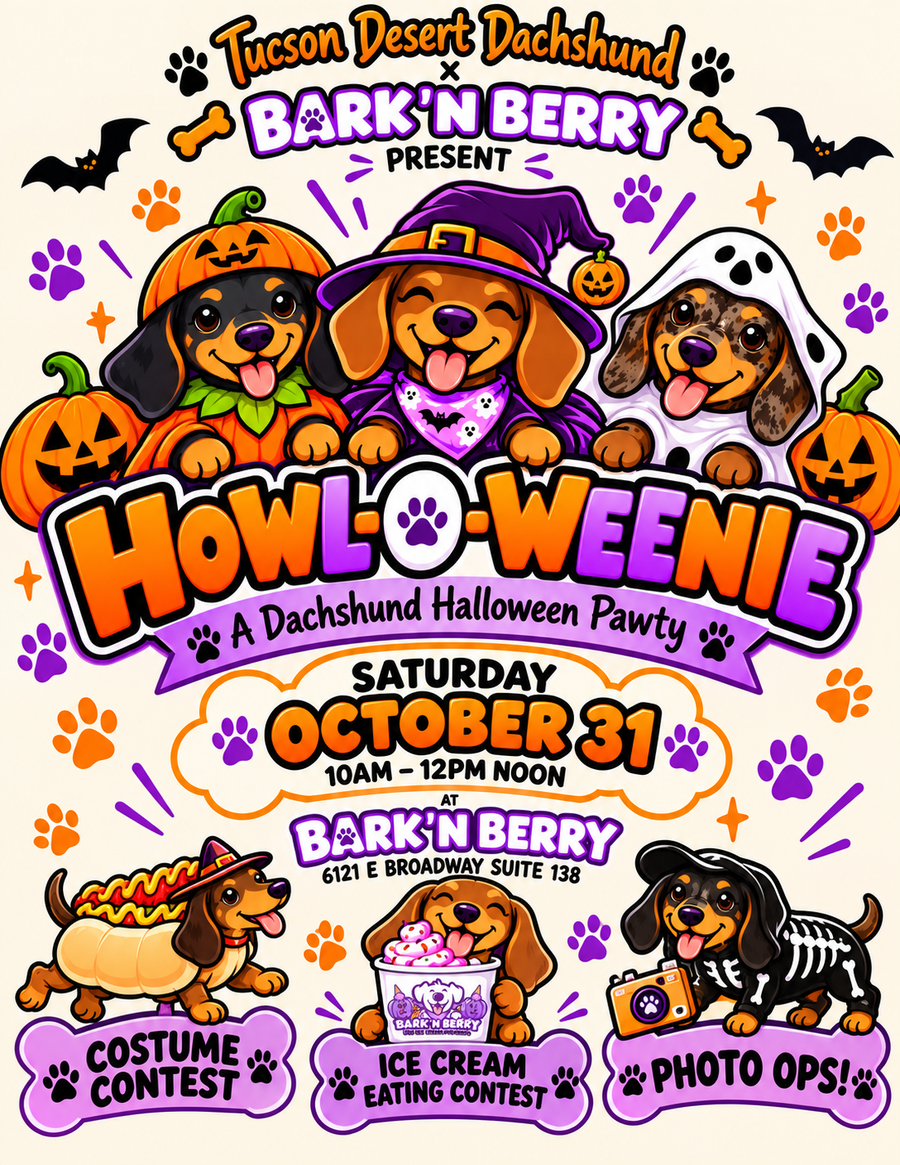DACHSHUND HALLOWEEN PAWTY!