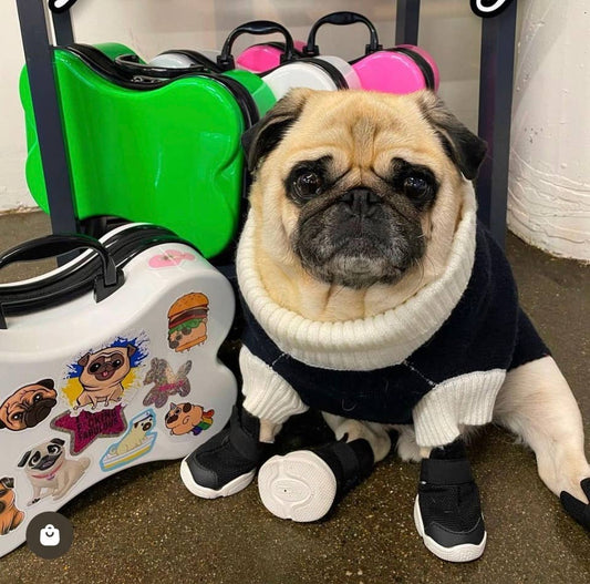 "ROVERNIGHTER" PET LUGGAGE