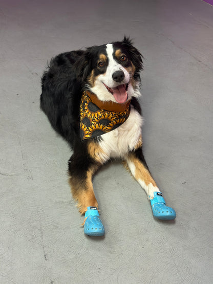 PET SHOES (Set of 4)