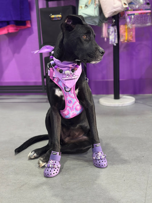PET SHOES (Set of 4)