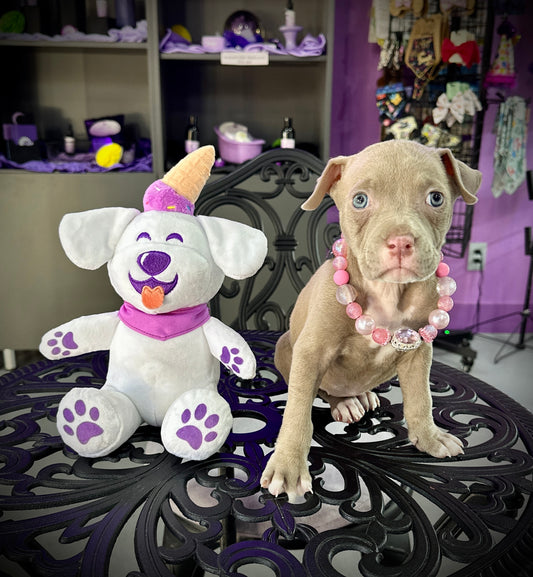 BERRY PLUSHIE TOY