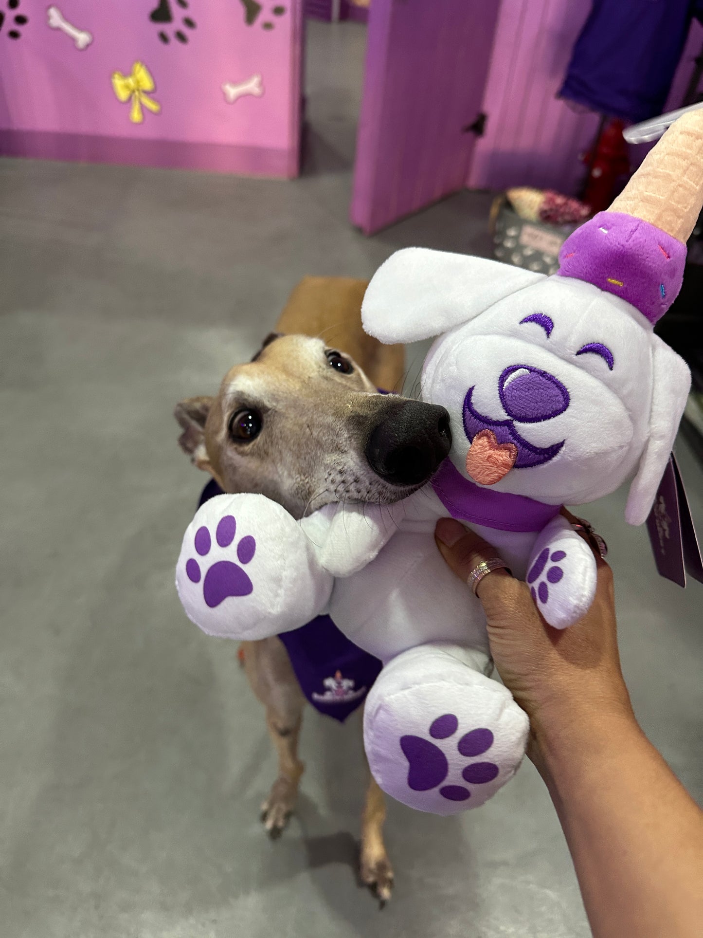 BERRY PLUSHIE TOY