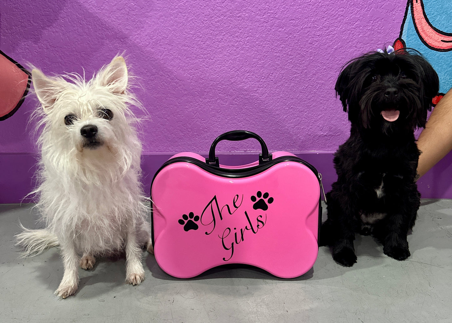 "ROVERNIGHTER" PET LUGGAGE