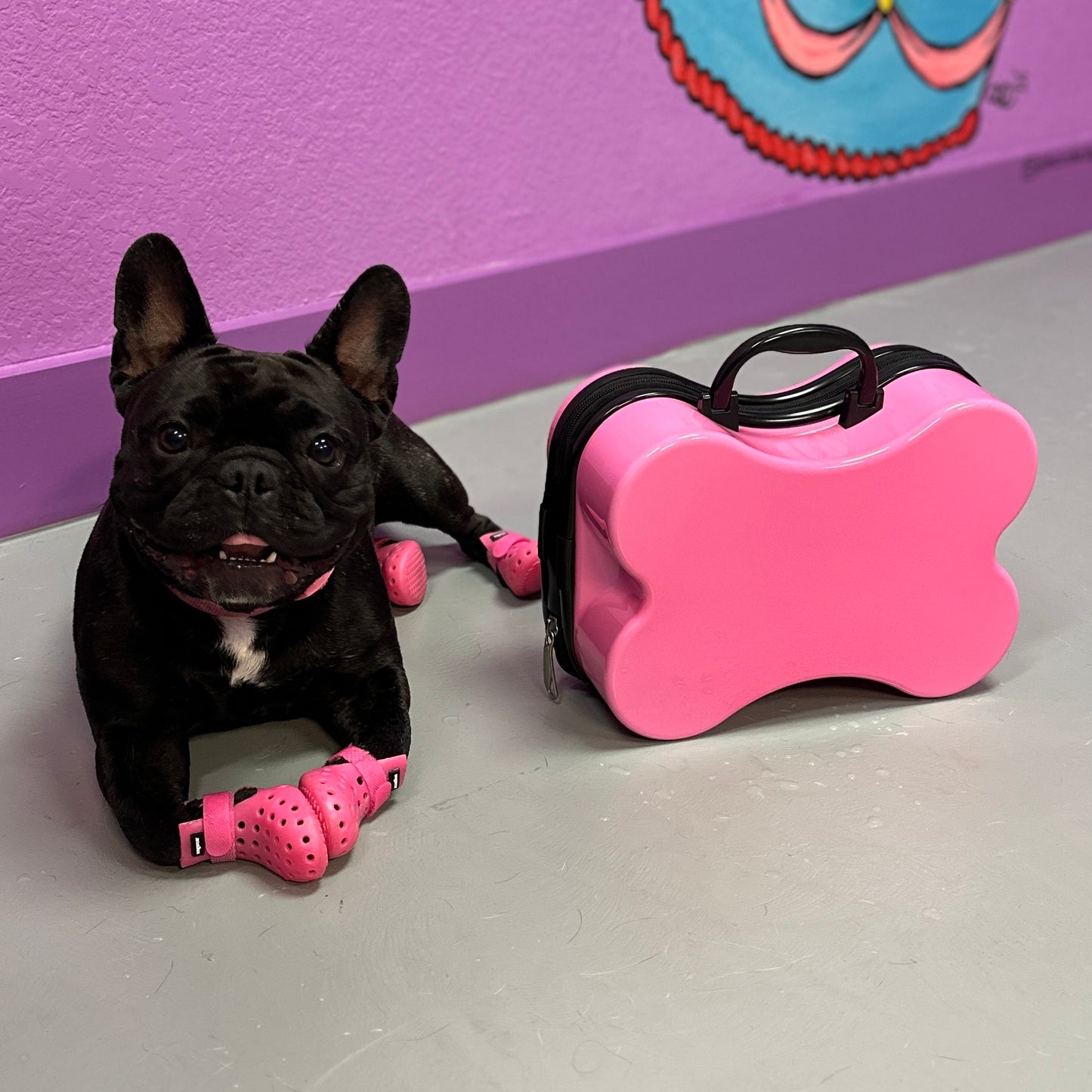 "ROVERNIGHTER" PET LUGGAGE