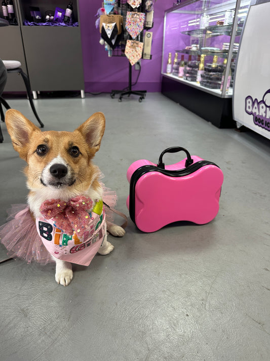 "ROVERNIGHTER" PET LUGGAGE