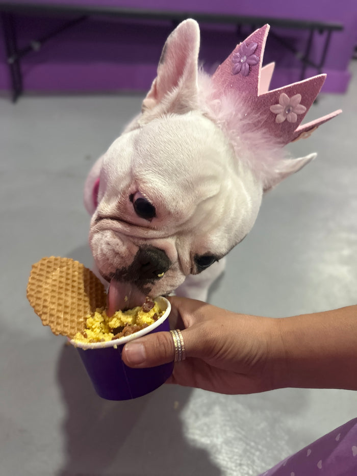 Treat Your Pup to a Scoop!