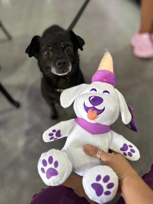 BERRY PLUSHIE TOY