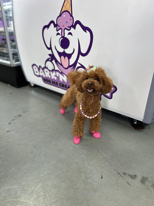 PET SHOES (Set of 4)