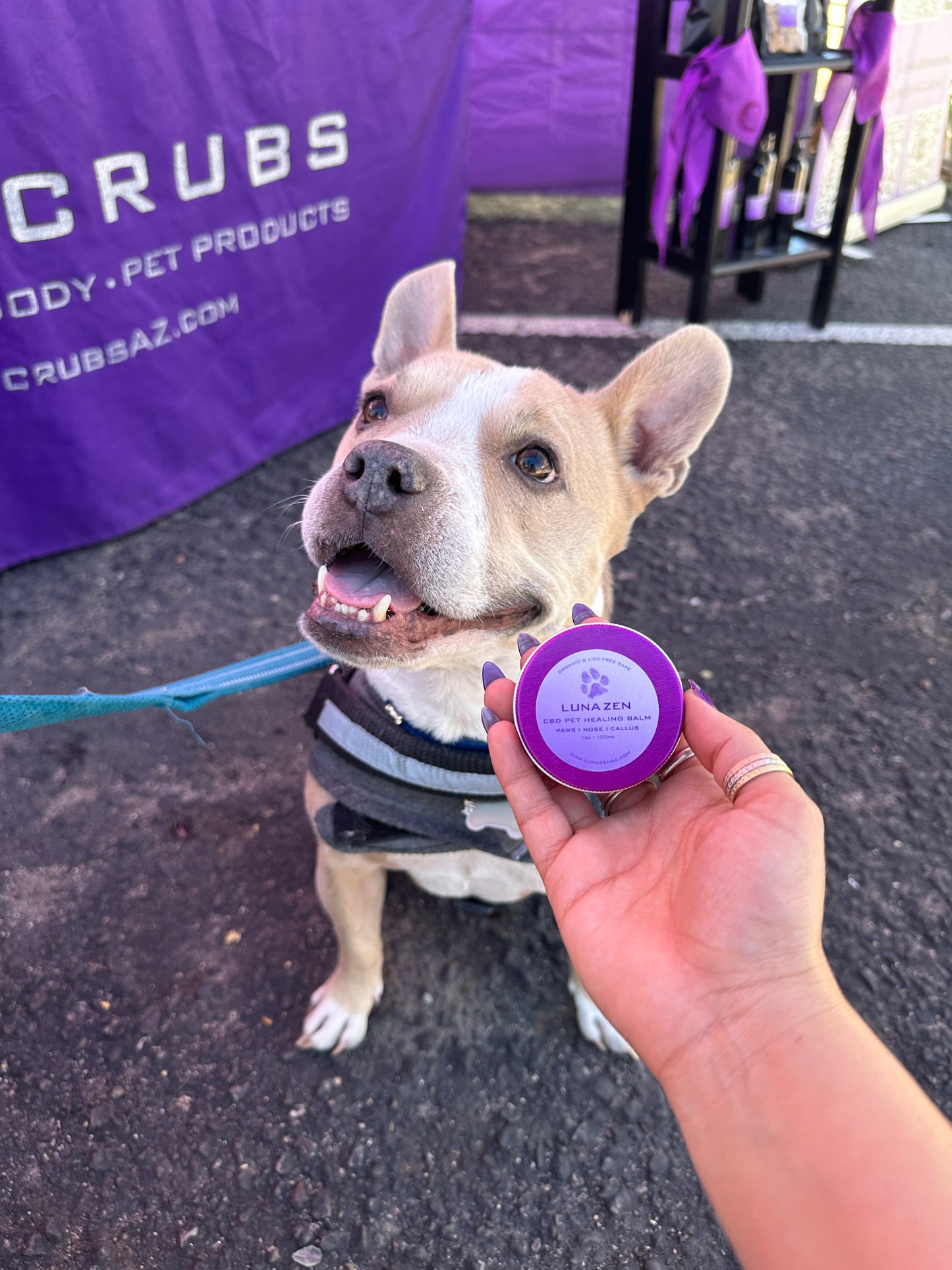PET HEALING BALM