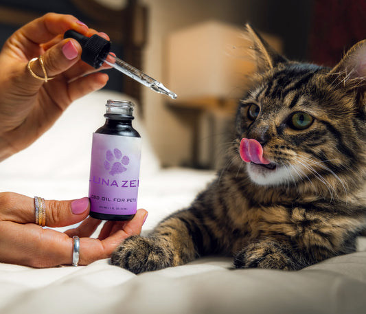 PET OIL