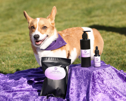 PET OIL
