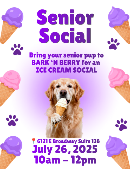 Senior Social