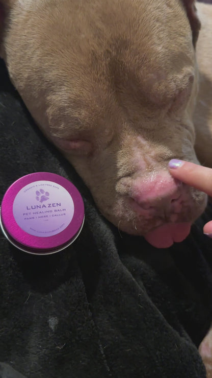 PET HEALING BALM